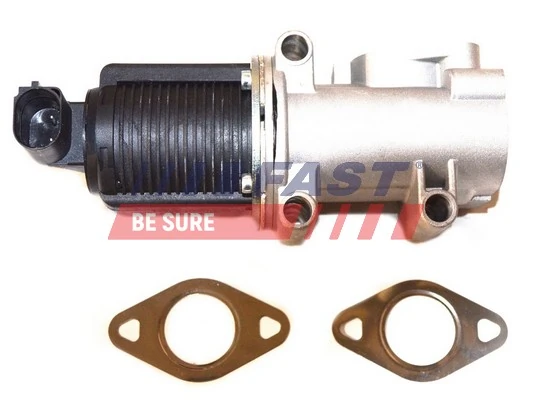 Válvula EGR de recirculação dos gases Peugeot 307 3H