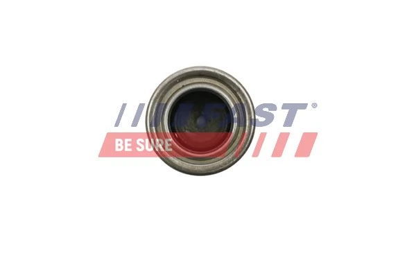 FT62604 Fast Опорный подшипник первичного вала КПП (центрирующий подшипник маховика)