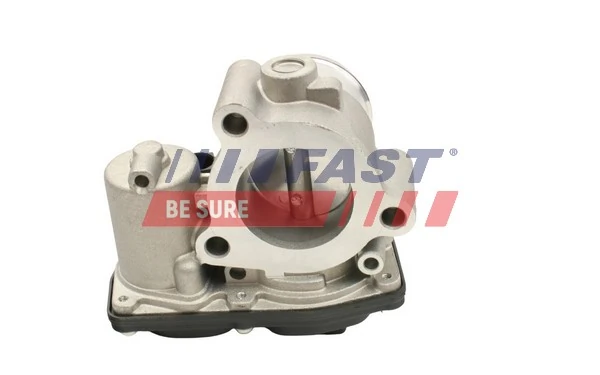 Дроссельная заслонка на Ford Focus IV HN