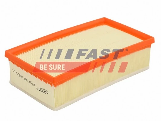 FT37175 Fast Воздушный фильтр двигателя