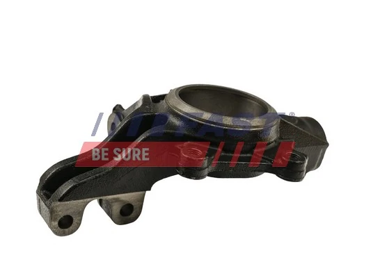 Цапфа (поворотный кулак) передний левый Fast FT13553 цена, от 65.15 USD