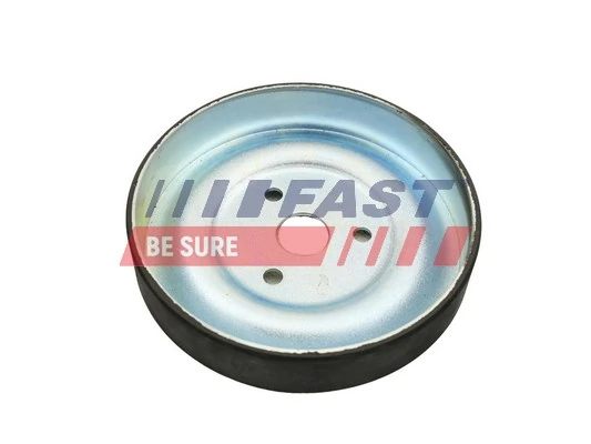 Polia da bomba de água Peugeot 207 WA, WC