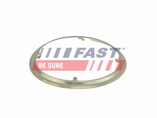 FT84817 Fast Прокладка сажевого фильтра передняя