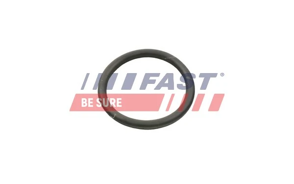 FT49934 Fast Шланг термостата