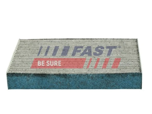 FT37421PM Fast Внутрисалонный фильтр