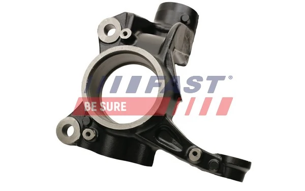 Цапфа (поворотный кулак) передний левый Fast FT13564 цена, от 73.97 USD