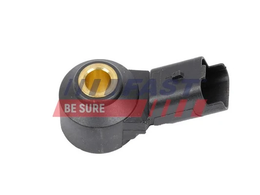 Sensor de detonação BMW 1 F21