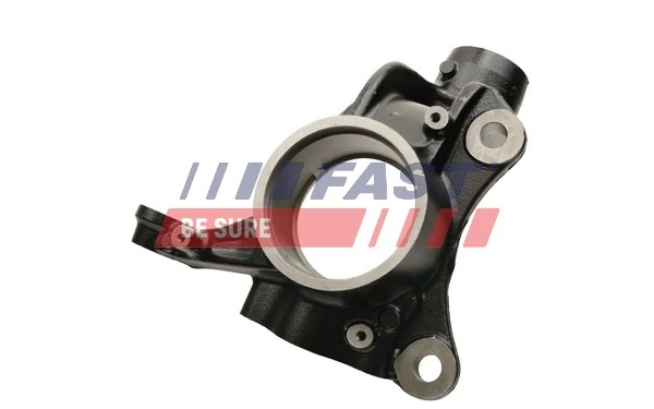Цапфа (поворотный кулак) передний правый Fast FT13563 цена, от 66.03 USD