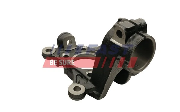 Цапфа (поворотный кулак) передний левый Fast FT13562 цена, от 62.08 USD