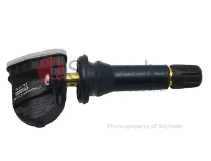 3063 Schrader