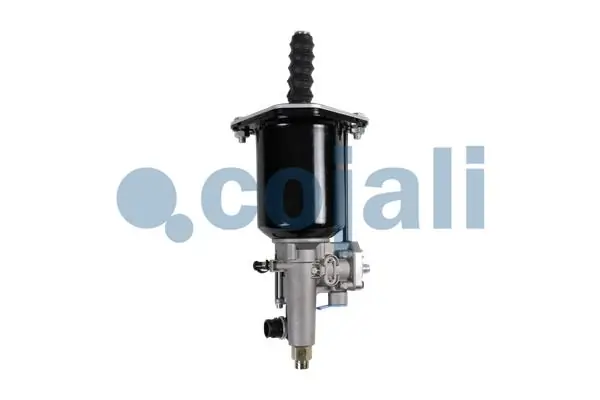  Cojali 2250261 цена, от 125.98 USD