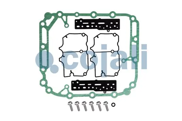 Kit de reparação da Caixa de Mudança Renault Laguna 1 B56, 556