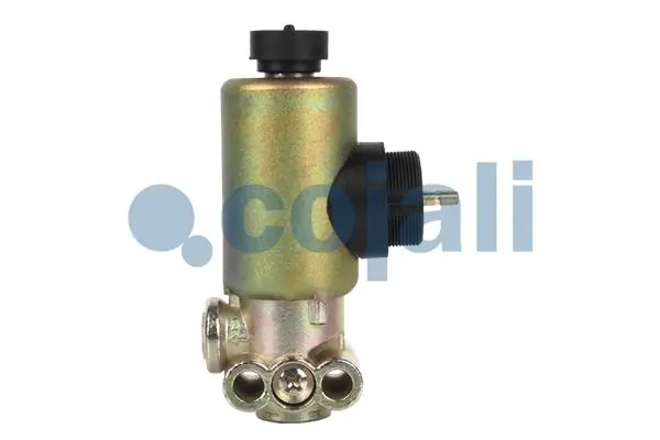 Купить 2218205 Cojali 