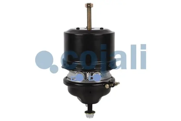 2251511 Cojali