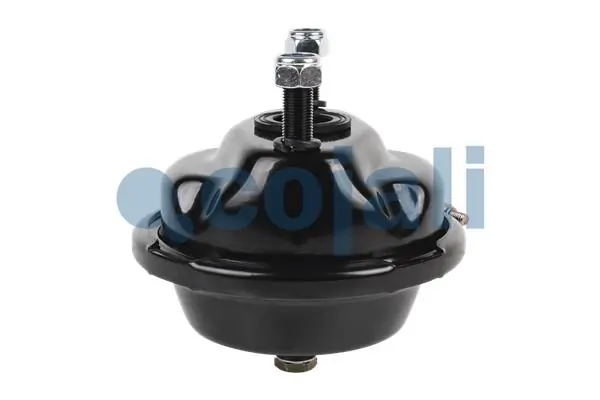 Купить 81511016484 MAN Камера тормозная (энергоаккумулятор)