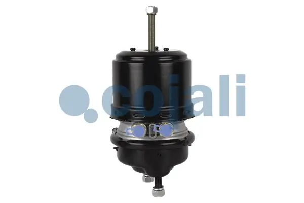 2251514 Cojali