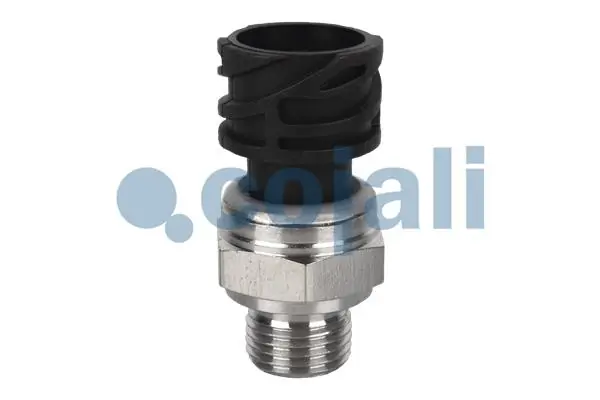 2260283 Cojali