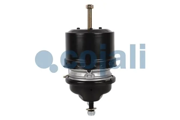 Камеры пневмотормозов DAF 1506681 цена, от 122.37 USD