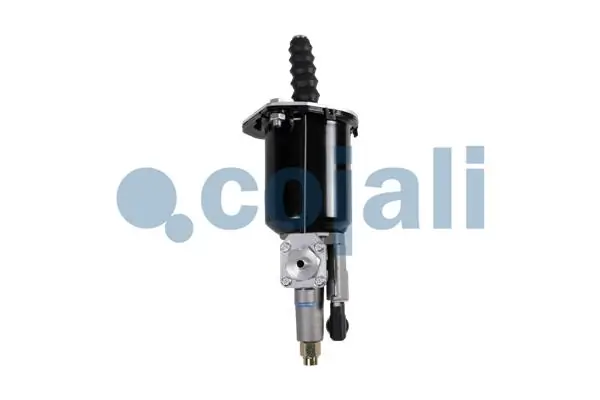 Купить 2250261 Cojali 