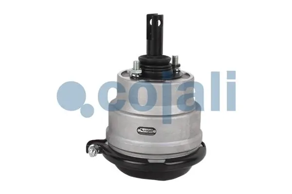 Камеры пневмотормозов Iveco 4842679 цена, от 71.61 USD