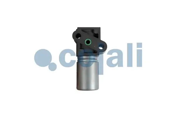 2818001COJ Cojali 