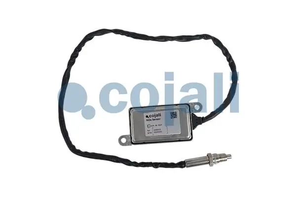 2269013 Cojali
