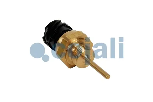 2260982 Cojali 