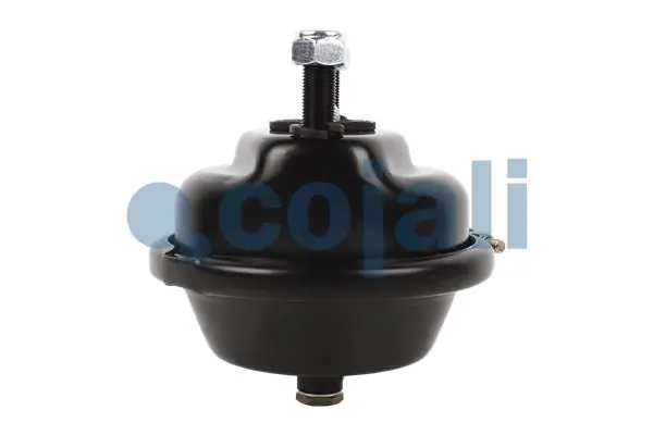 Камера тормозная Mercedes 0074201224