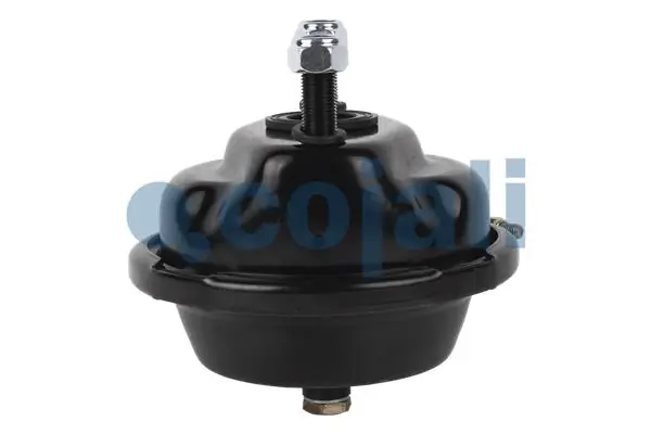 Камеры пневмотормозов Renault (RVI) 7420533191 цена, от 28.22 USD