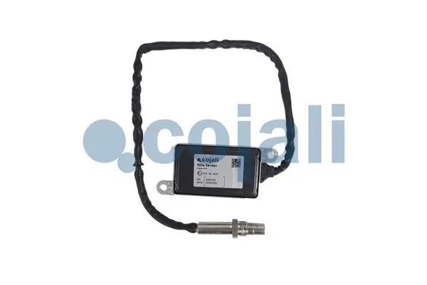2269006 Cojali