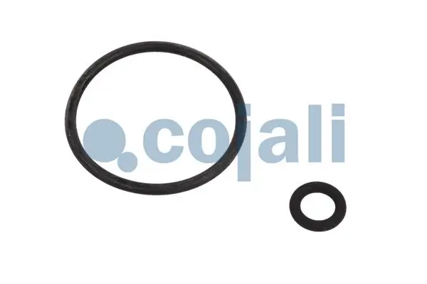 Ремкомплект главного тормозного крана Cojali 6012256 цена, от 16.06 USD