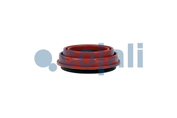 Ремкомплект тормозной системы Schmitz 1008451 цена, от 12.95 USD