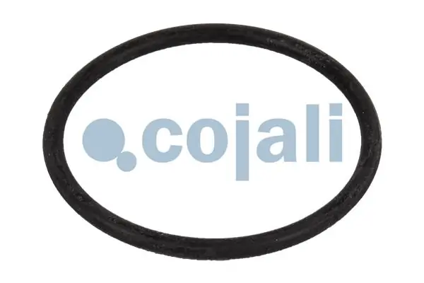 Ремкомплект главного тормозного крана Cojali 6012160 цена, от 15.47 USD