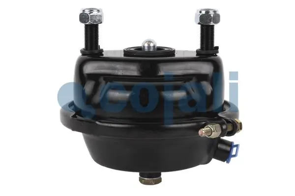 Купить 7420533191 Renault (RVI) Камера тормозная (энергоаккумулятор)