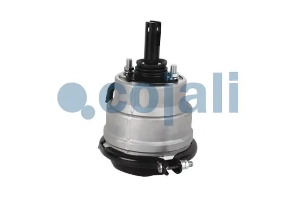 Купить 4842679 Iveco Камера тормозная (энергоаккумулятор)