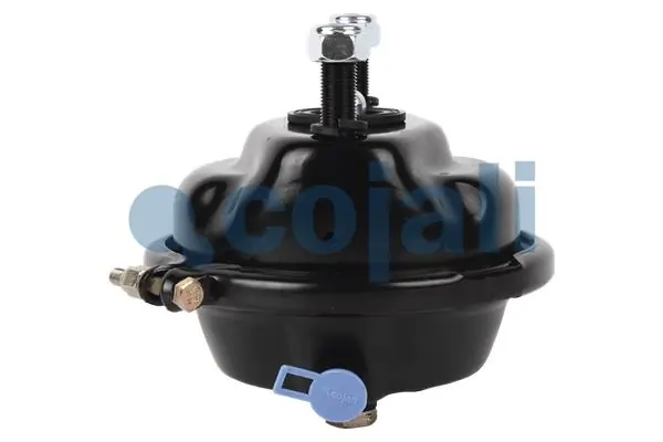 Камера тормозная Renault (RVI) 7420533191