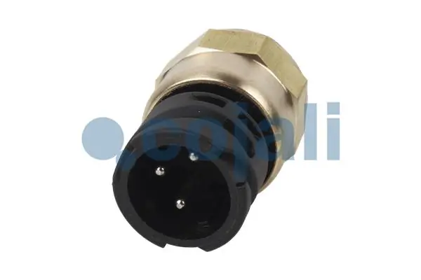 Купить 5001847054 Renault (RVI) Датчик индикатора лампы раздатки блокировки дифференциала