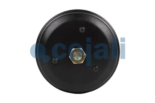 Камеры пневмотормозов Evobus/Setra 154209818 цена, от 72.30 USD