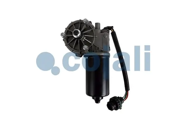 2060017 Cojali