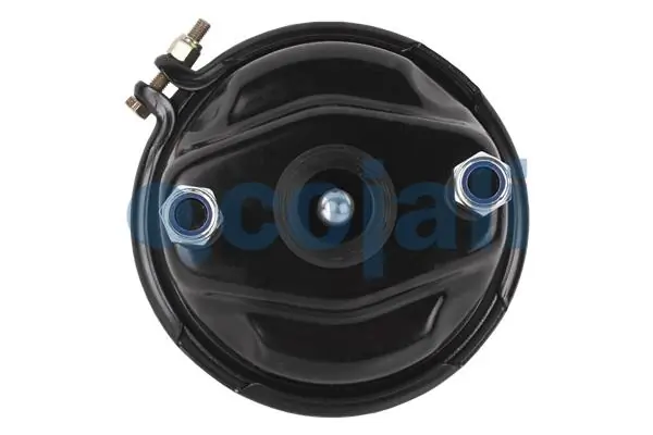Камера тормозная (энергоаккумулятор) 7420533191 Renault (RVI)