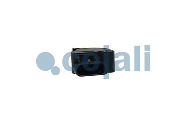 Купить 2262033 Cojali 