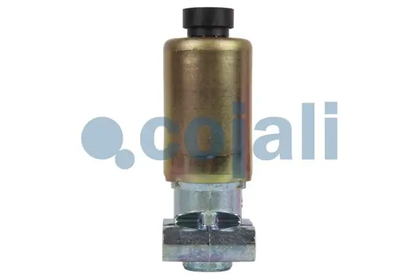 5010347978 Renault (RVI) Соленоид (электромагнитный клапан) раздаточной коробки