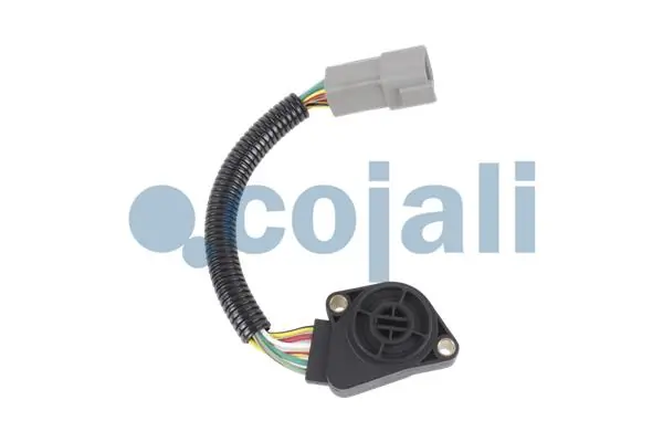 2260490 Cojali Управление карбюратором (акселератор - управление подачей топлива)
