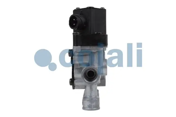 2209456 Cojali 