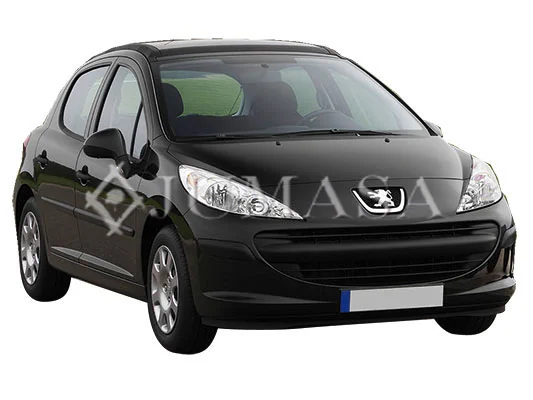 Compre Pára-lama dianteiro esquerdo Peugeot 207 