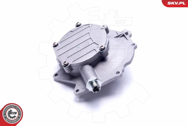 Купить 18SKV029 SKV Вакуумный насос