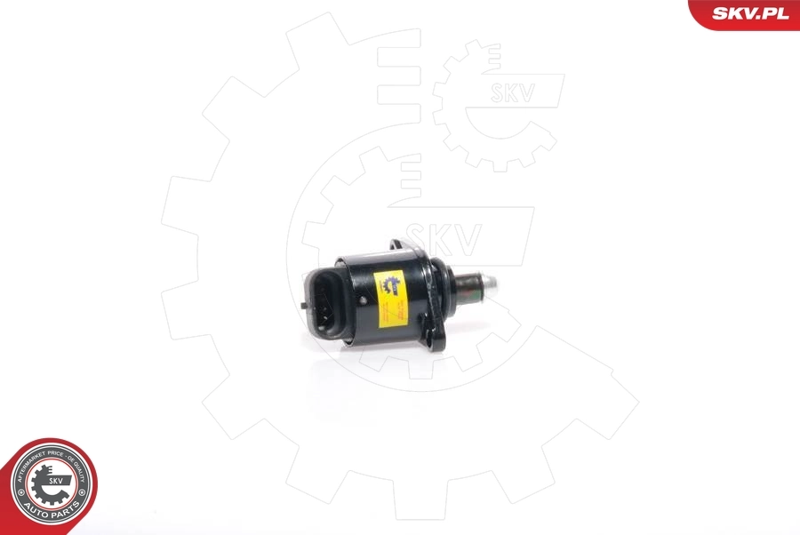 Válvula (regulador) de marcha a vácuo Renault Kangoo 1 KC0, KC1