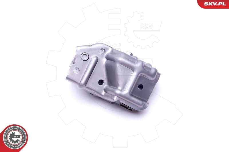 Купить 39SKV054 SKV Регулятор фаз газораспределения