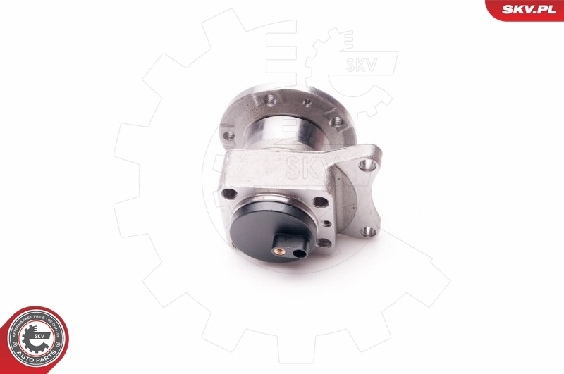 Cubo traseiro Peugeot Expert VF