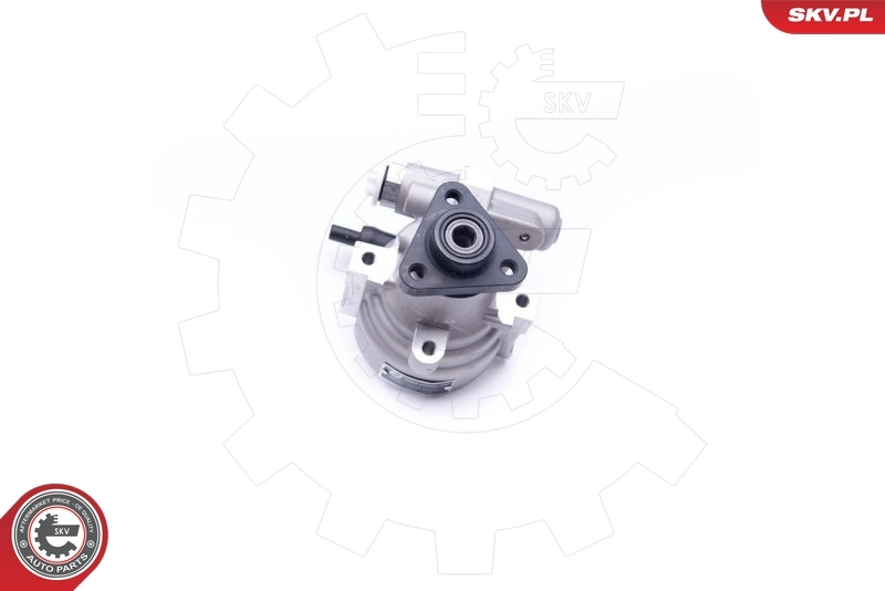 Насос гидравлики SKV 10SKV278 цена, от 80.50 USD
